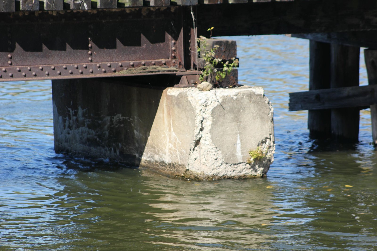 North pier (pier #6)